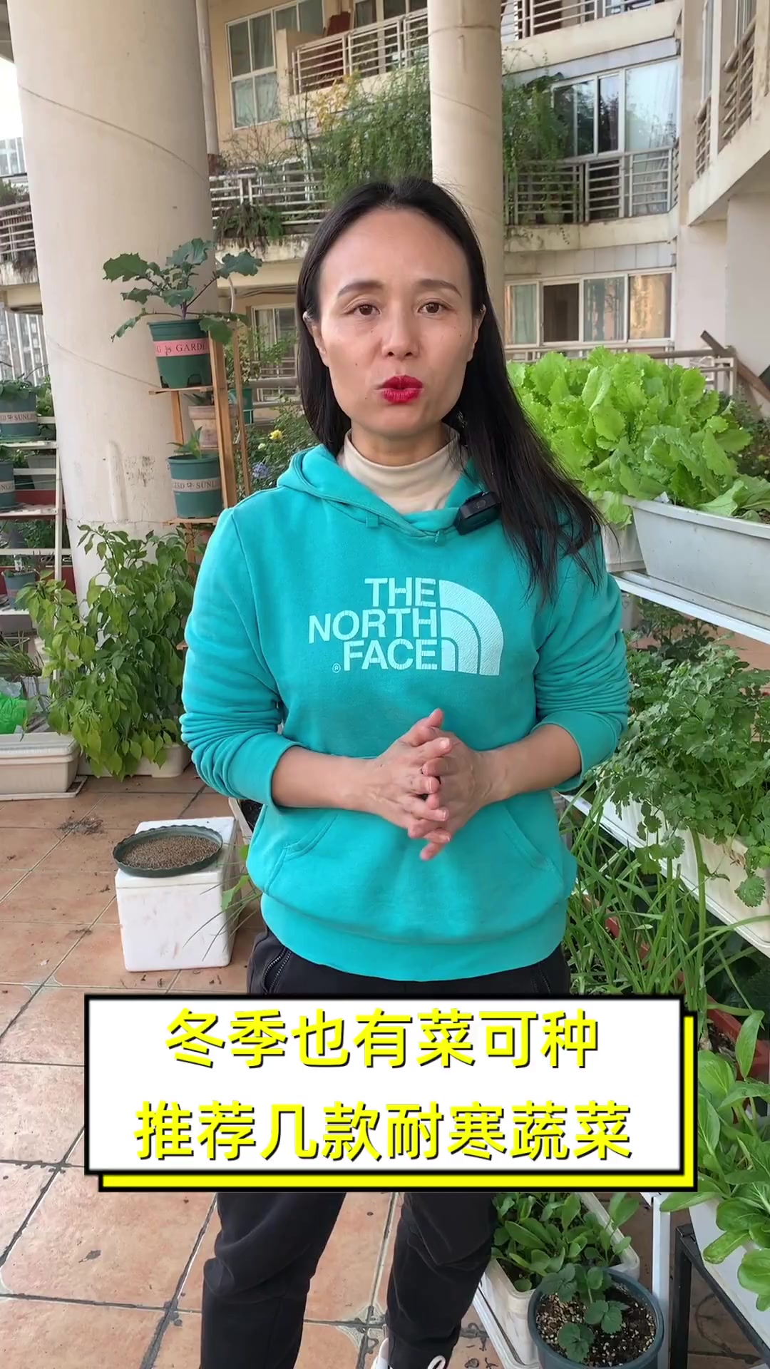 冬季也有菜可种,推荐几款耐寒蔬菜