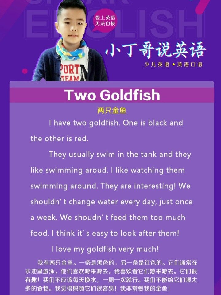 小学英语作文朗读「宠物」金鱼