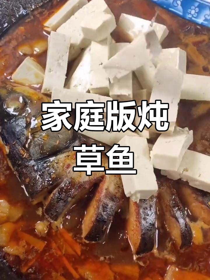 家常炖草鱼,鲜嫩美味轻松做