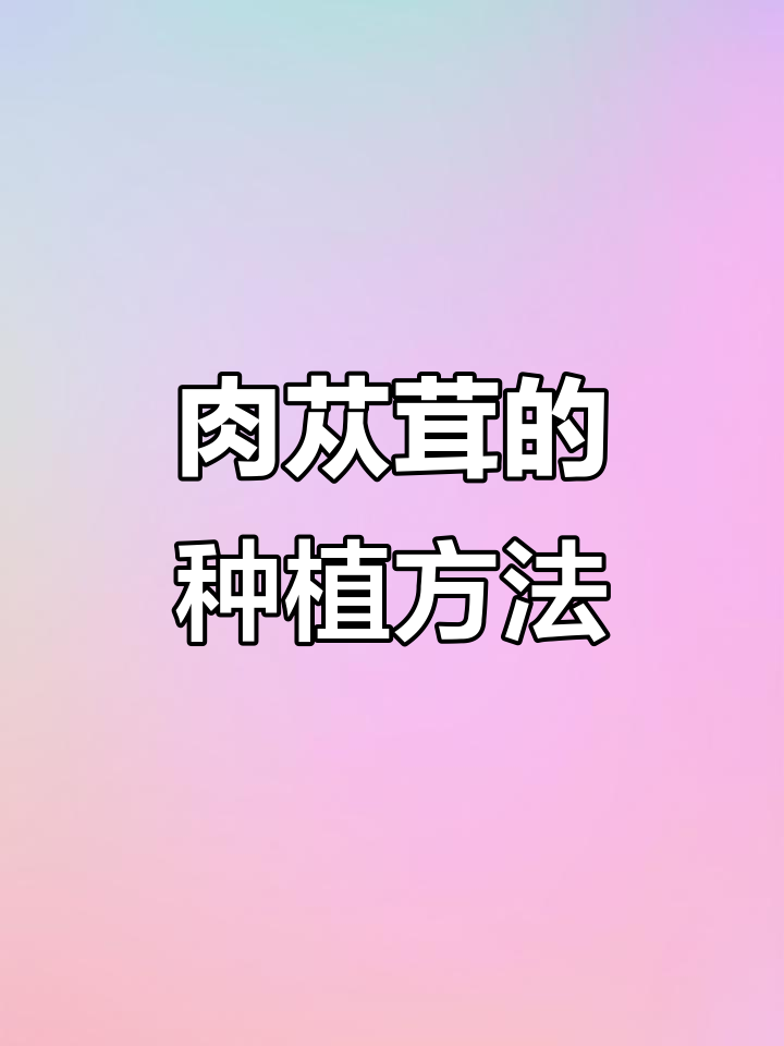 肉苁蓉种植技巧:如何与缩缩配合生长