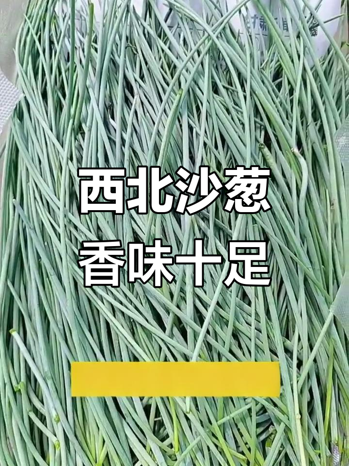 沙葱:比小香葱更香的西北美味,种植轻松又耐造