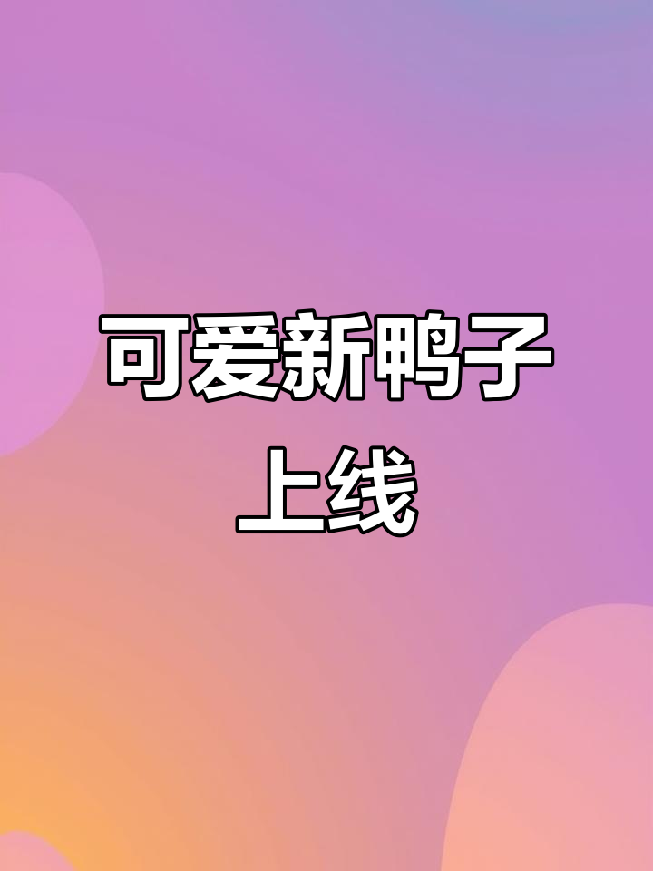 新款小鸭子公仔,萌态十足!价格有点小贵