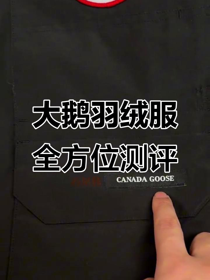 大鹅羽绒服细节对比:毛领、五金、口袋全解析