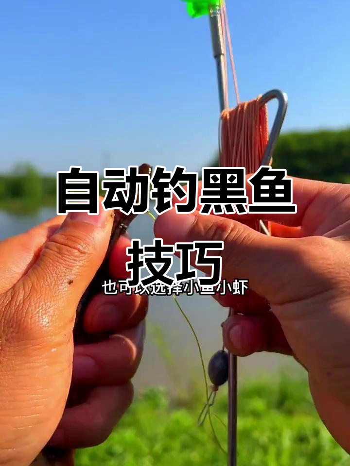 民间自动钓黑鱼鲶鱼的技巧,轻松掌握钓鱼方法