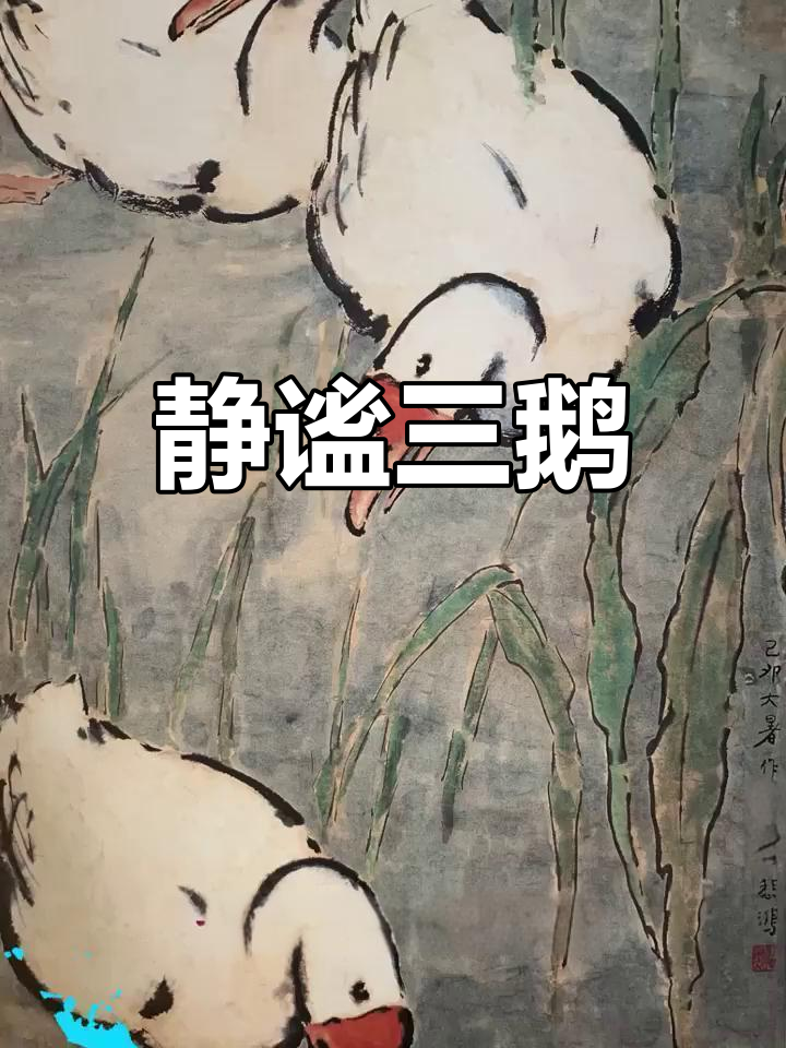 三只鹅,静谧入睡,守望同伴,展现和谐之美