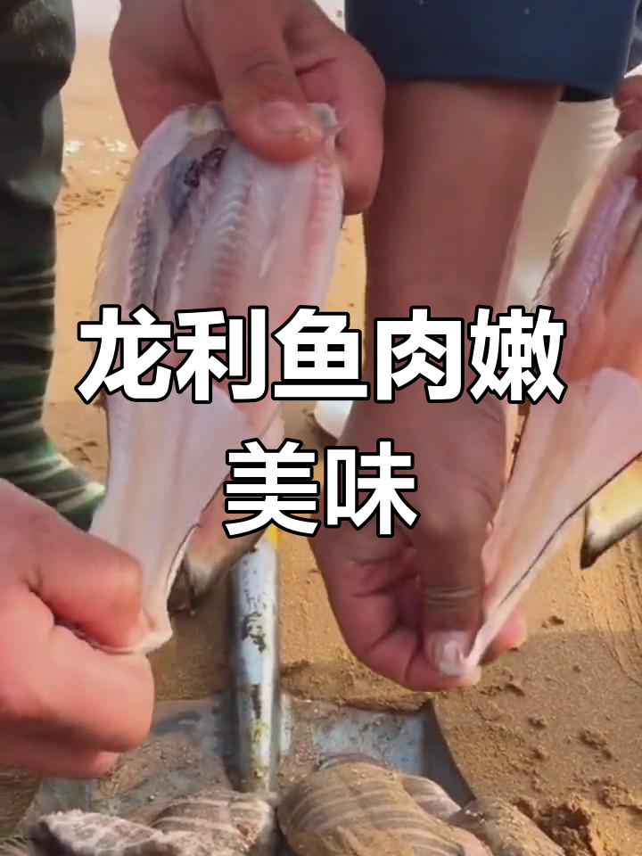 青岛特色龙利鱼,肉质鲜美无鳞