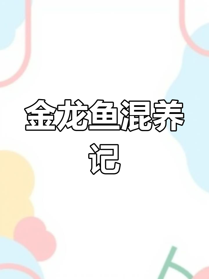 188条金龙鱼混养,花山里的秘密养殖日记