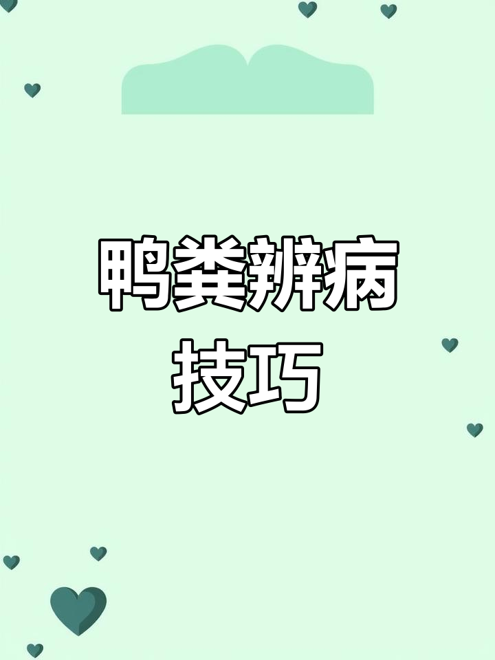 鸭子粪便颜色变化揭示健康信号,如何判断疾病?