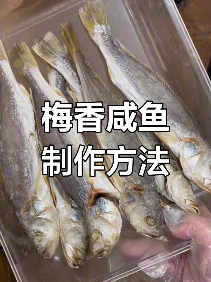 香港澳门梅香咸鱼,三牙鱼独特制法揭秘
