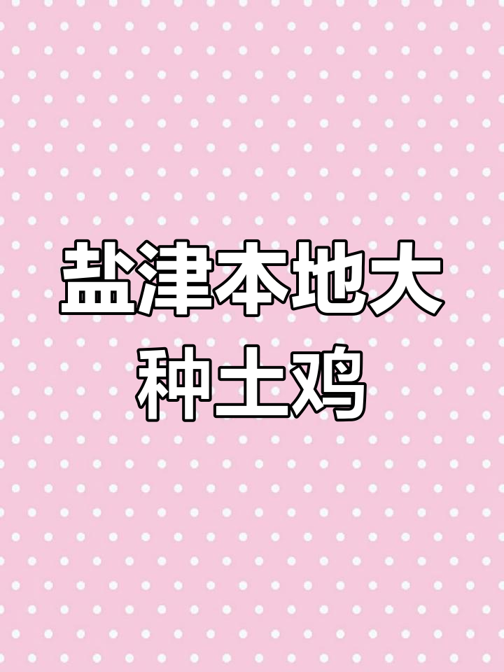 盐津乌骨鸡:云南六大名鸡之一,野外放养土鸡的独特风味