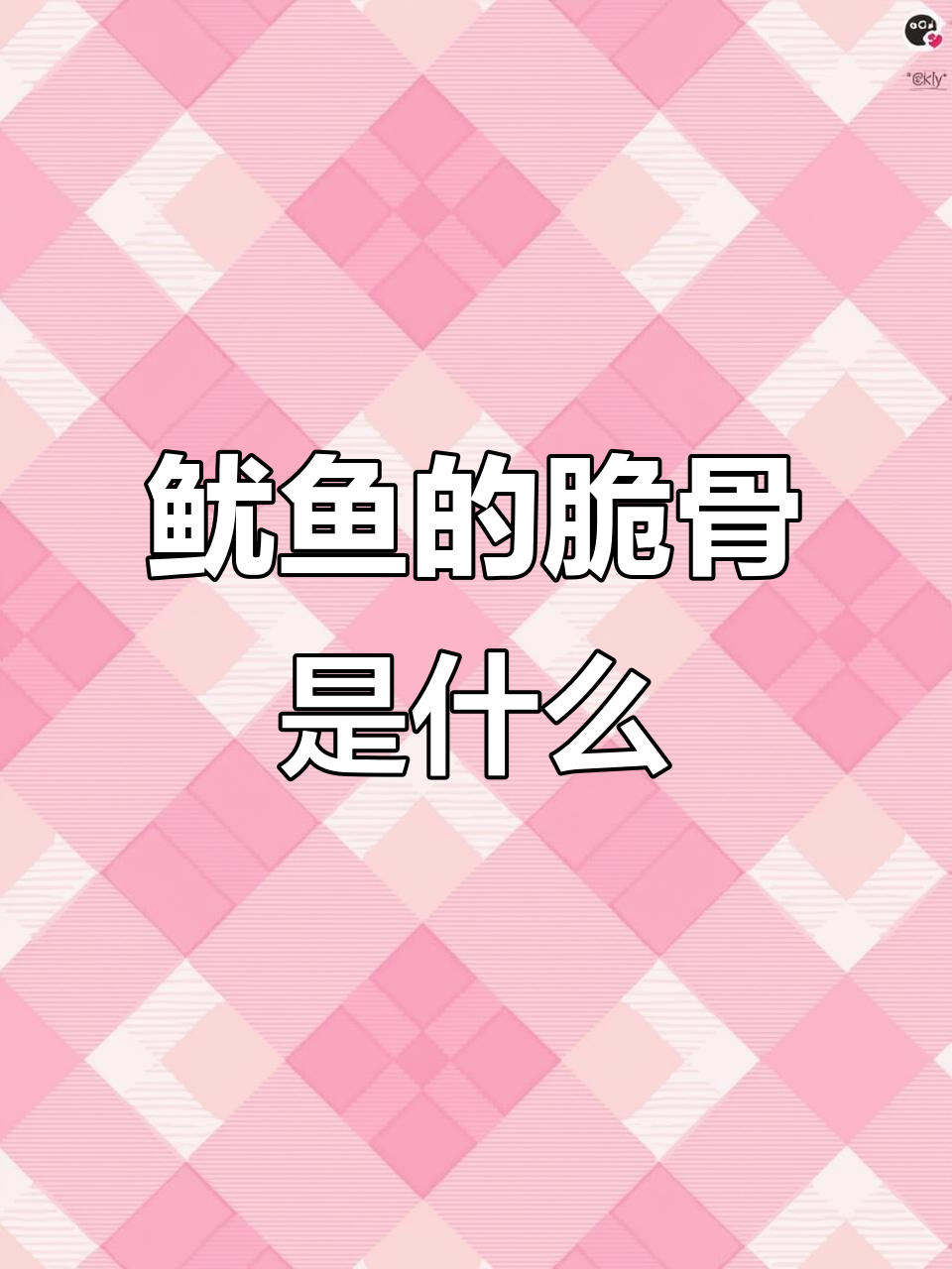 鱿鱼肚子里的“塑料片”真相，竟然是这种东西！
