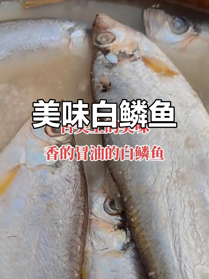 白鳞鱼:鲜美海鲜,口感超乎想象