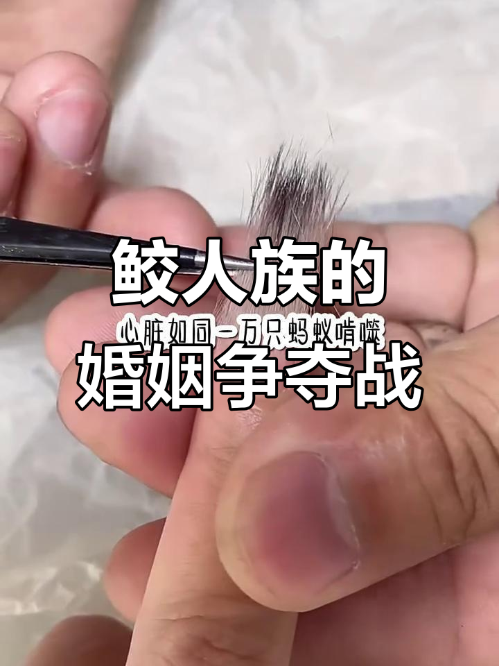 鲛人族联姻争位,树妹与我的命运逆转