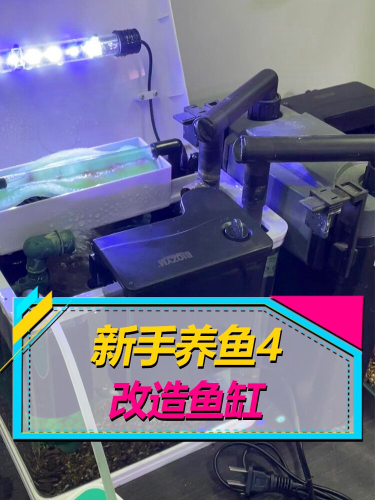 如何改造成品小鱼缸,5种方法