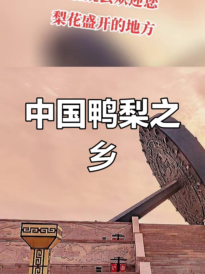 魏县:冀鲁豫三省交界处的鸭梨之乡