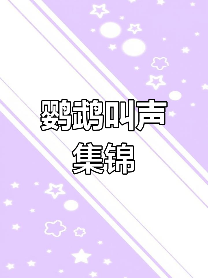 鹦鹉鸣叫大集合,听!它们的奇妙歌声