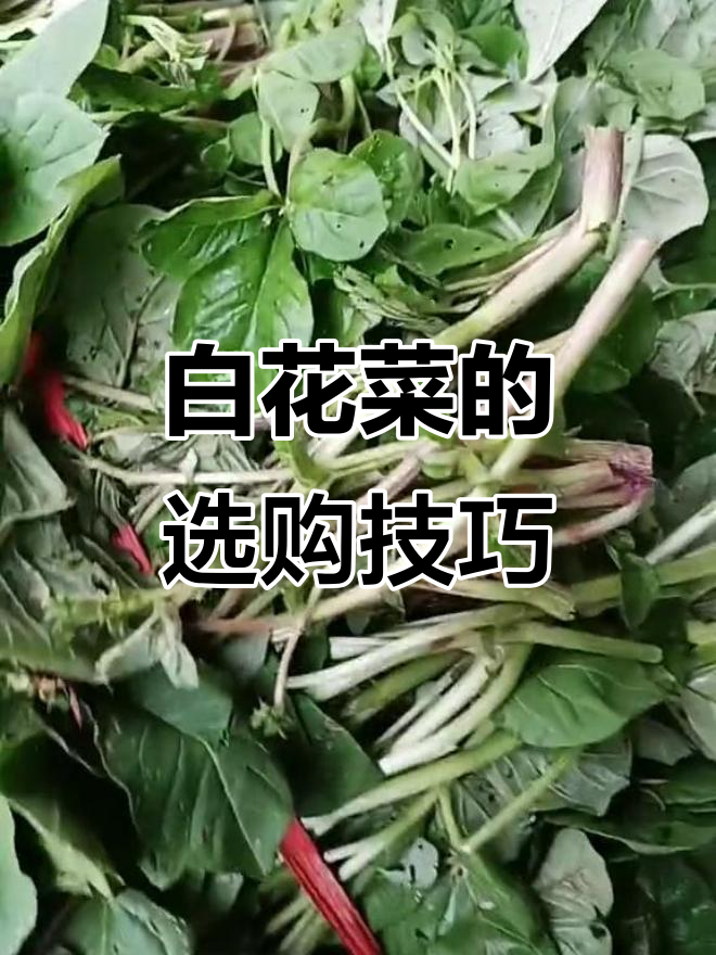 云梦剃头匠教你如何挑选白花菜,雨天买最容易踩坑