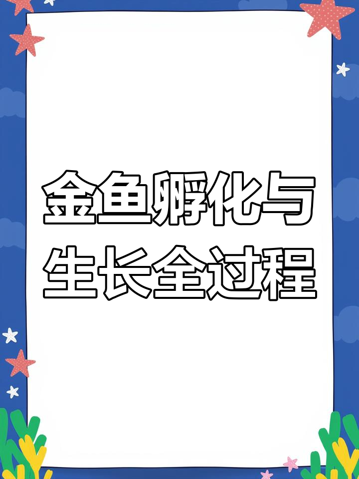 蓝寿金鱼成长全纪录:从鱼卵到成鱼的蜕变过程