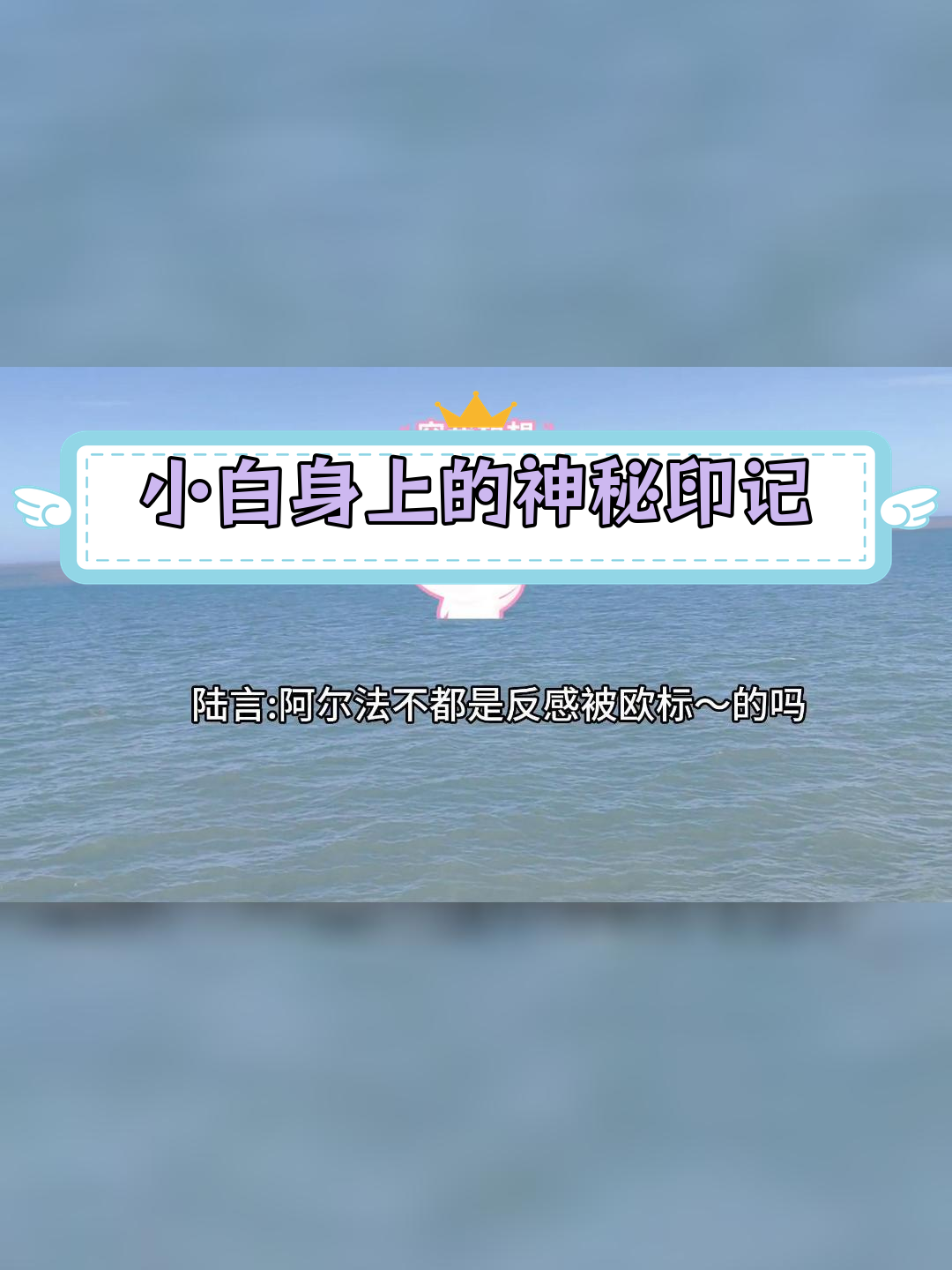兔球球的秘密标记,蓝波鞋与鱼纹的谜团