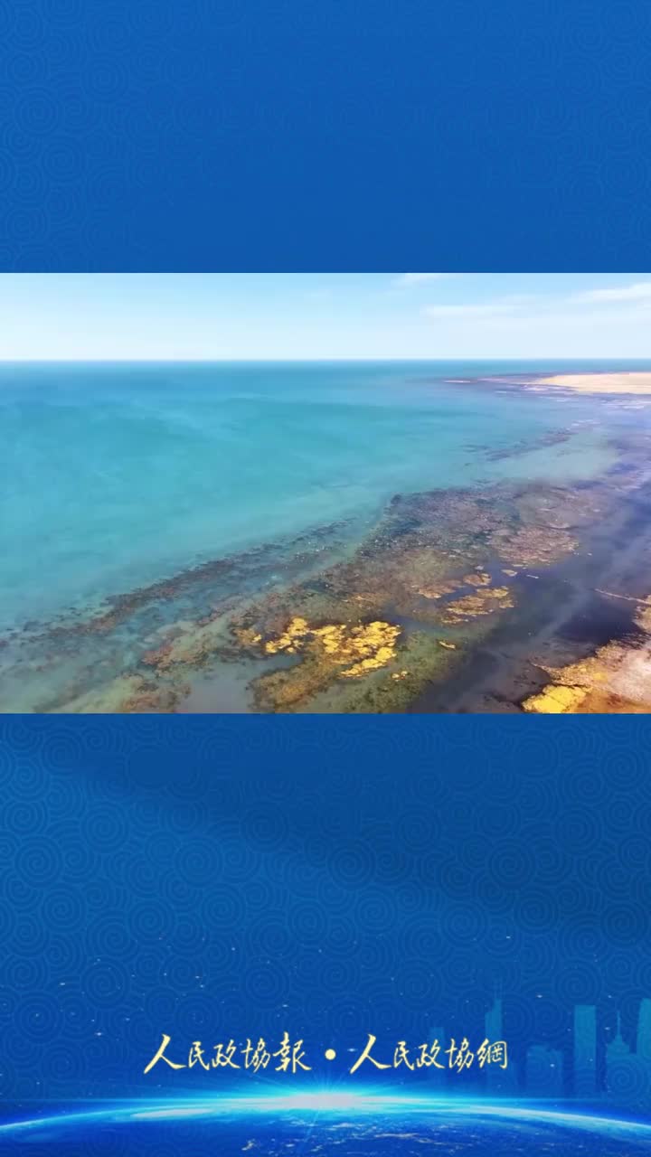 「视频」如约而至!首批越冬大天鹅飞抵青海湖