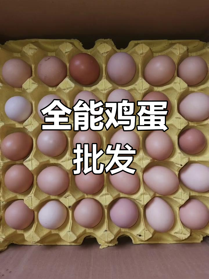 土鸡蛋、红心蛋,各种包装材料一应俱全