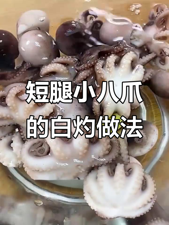 小小章鱼,白灼做法超简单!又嫩又脆的秘诀大公开