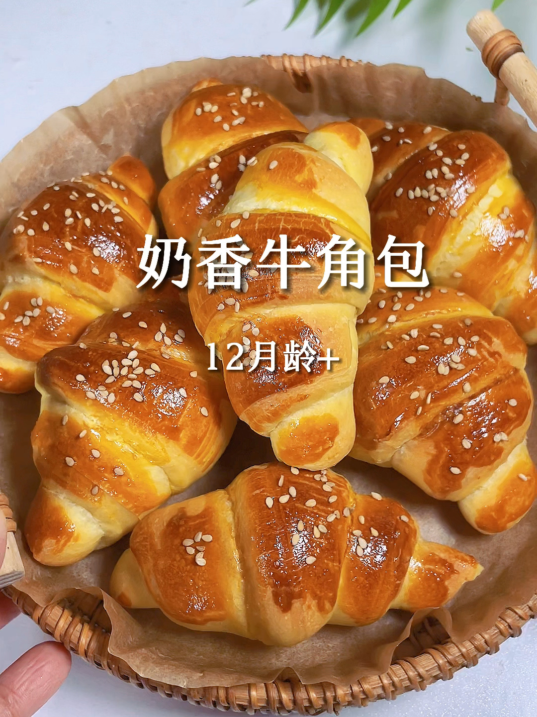 奶香牛角包详细教程|普通面粉也能蓬松暄软