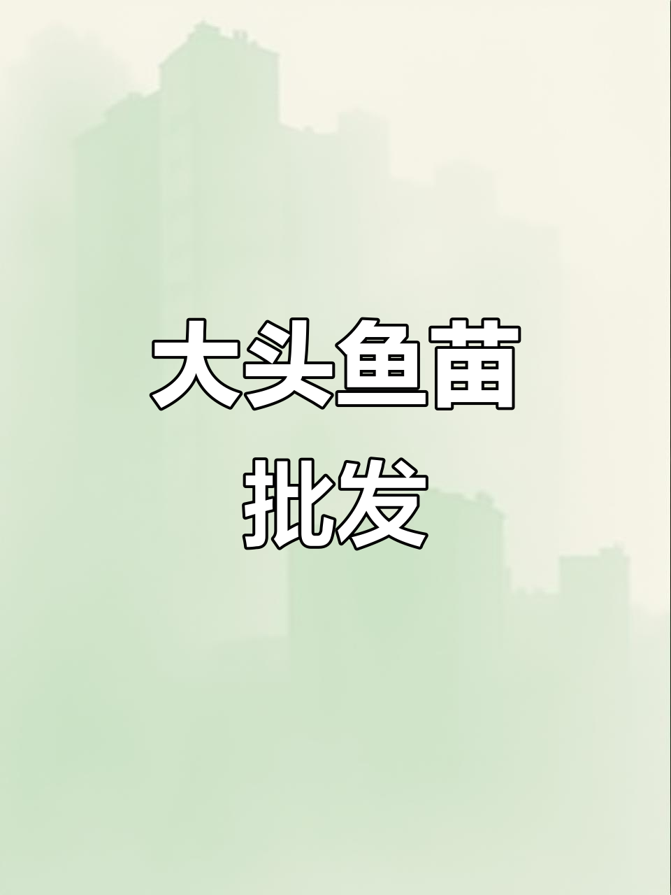 优质大头鱼苗,批发供应,适合放生或养殖