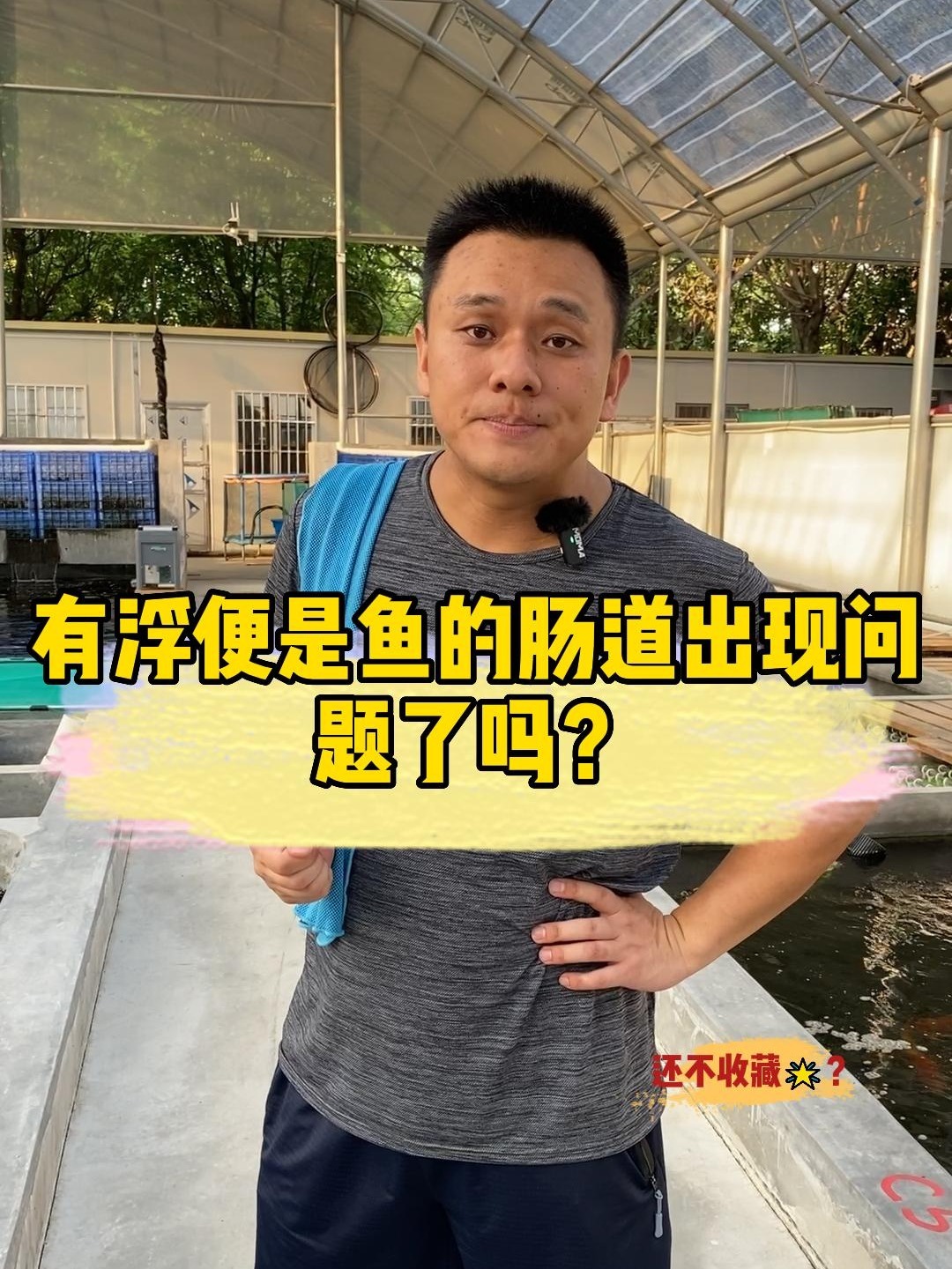 有浮便一定是鱼的肠道出问题了吗?