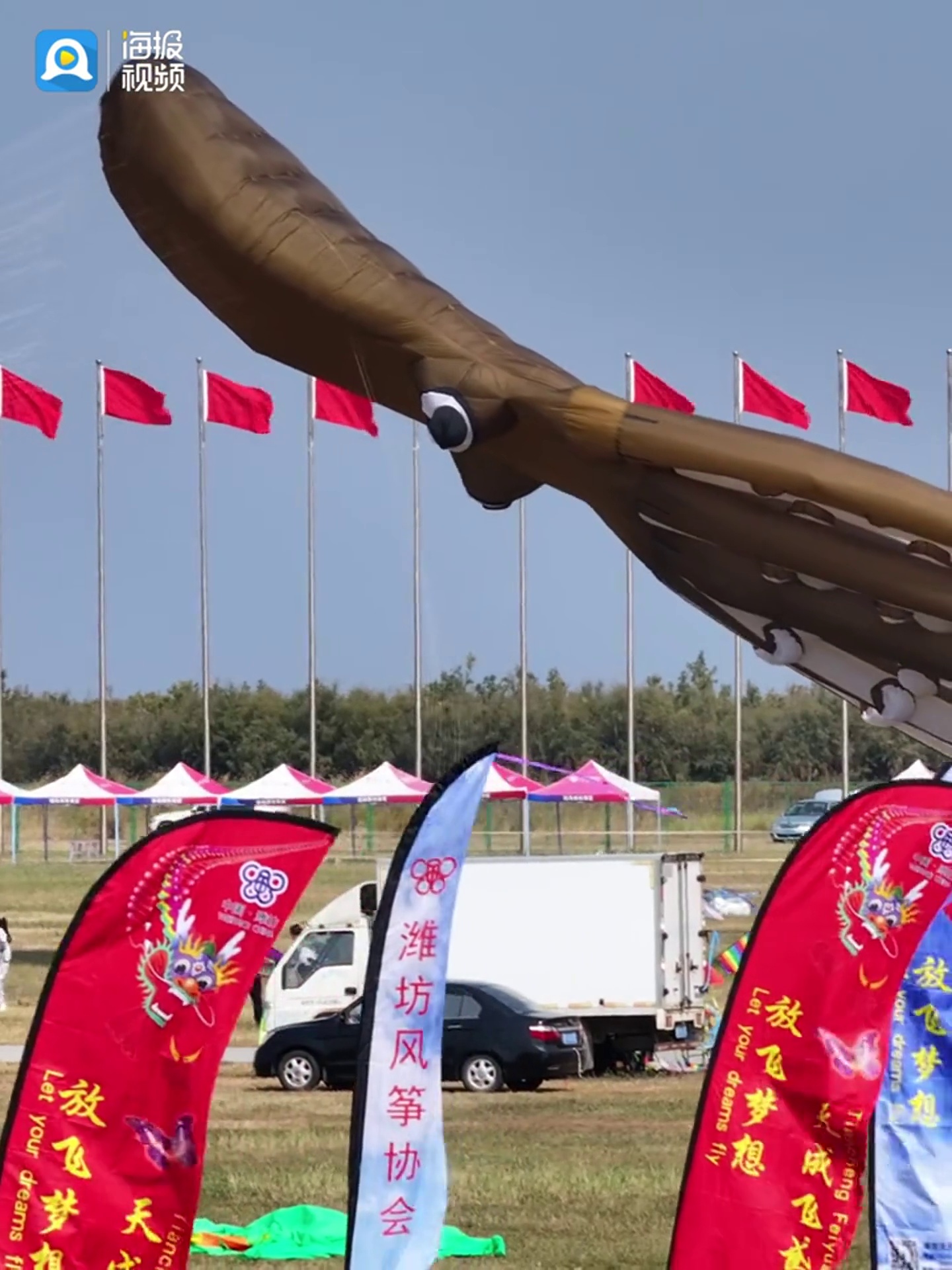 听说潍坊人在滨海风筝放飞场“建了个海底世界”?潍坊风筝嘉年华 海洋动物主题风筝