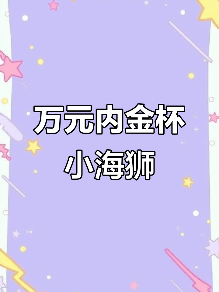 2017年金杯小海狮货运版,万元以内超值选择