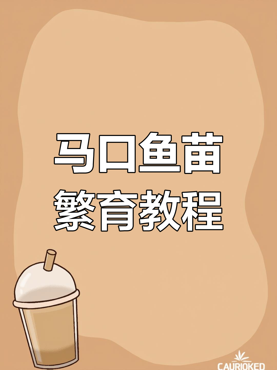 马口鱼苗繁殖技巧与催产方法详解