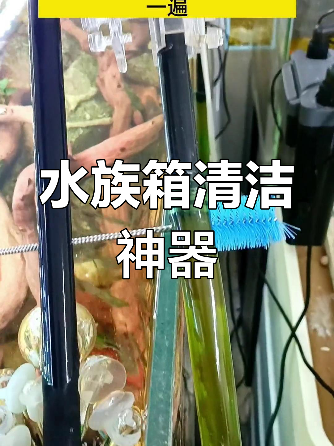 清洁鱼缸管件,轻松搞定进出水口,效果超棒!