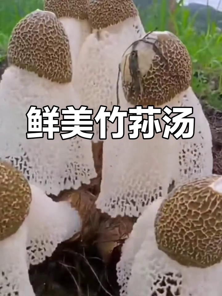 竹荪汤,营养美味,做法简单