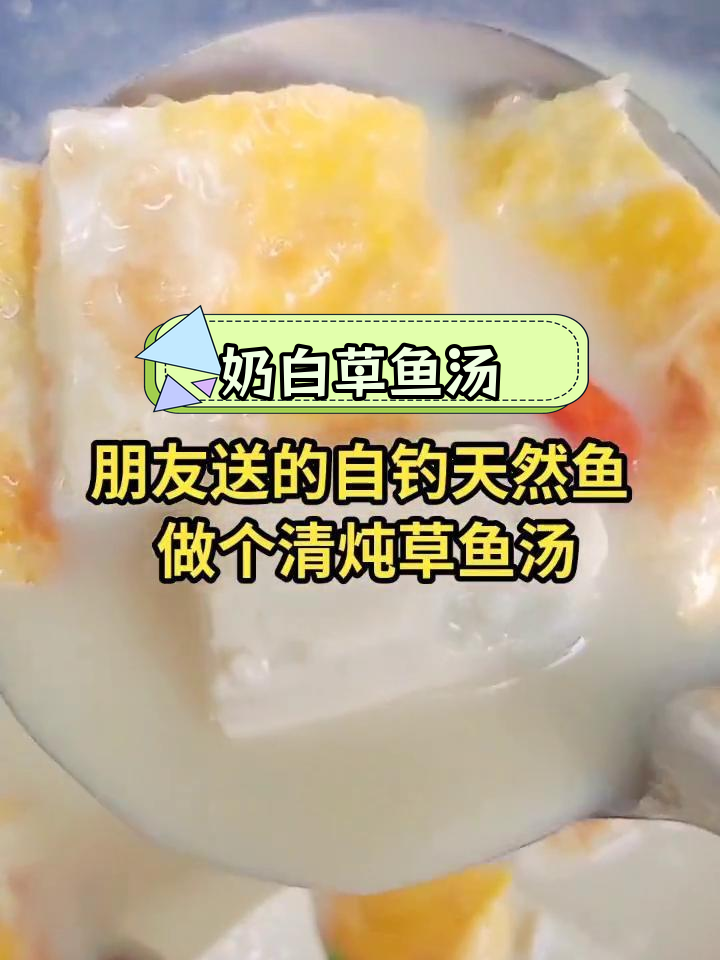 草鱼豆腐汤,奶白浓郁鲜美