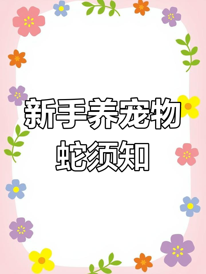 宠物蛇吃什么?新手必看饲养指南