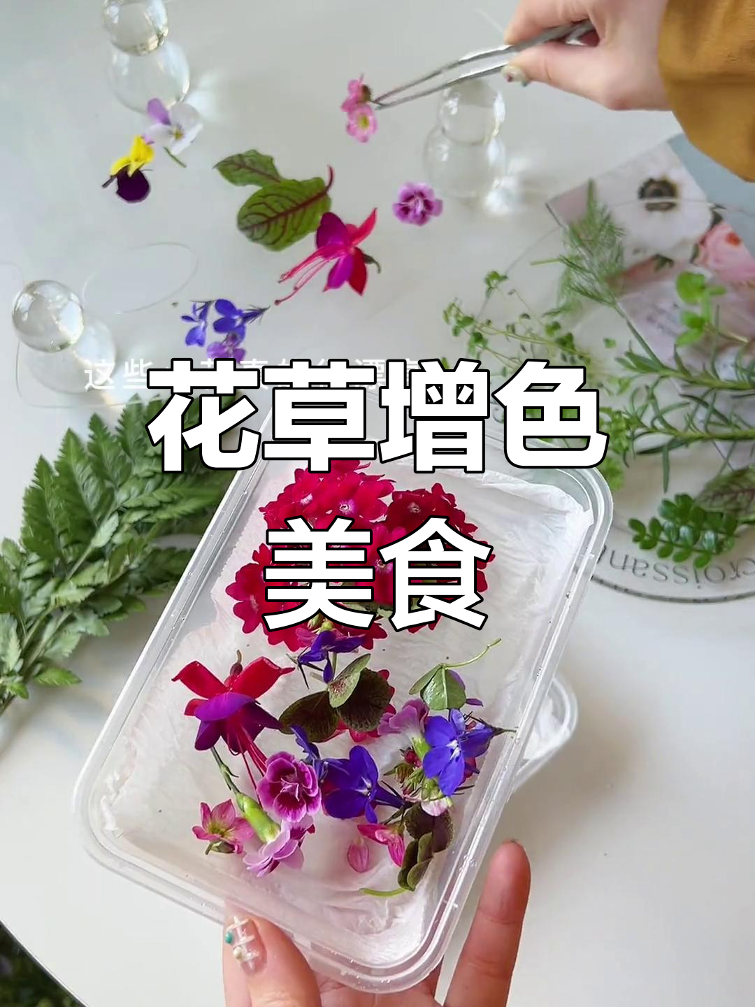 森林中的治愈系美食,花草装饰让菜肴更美味