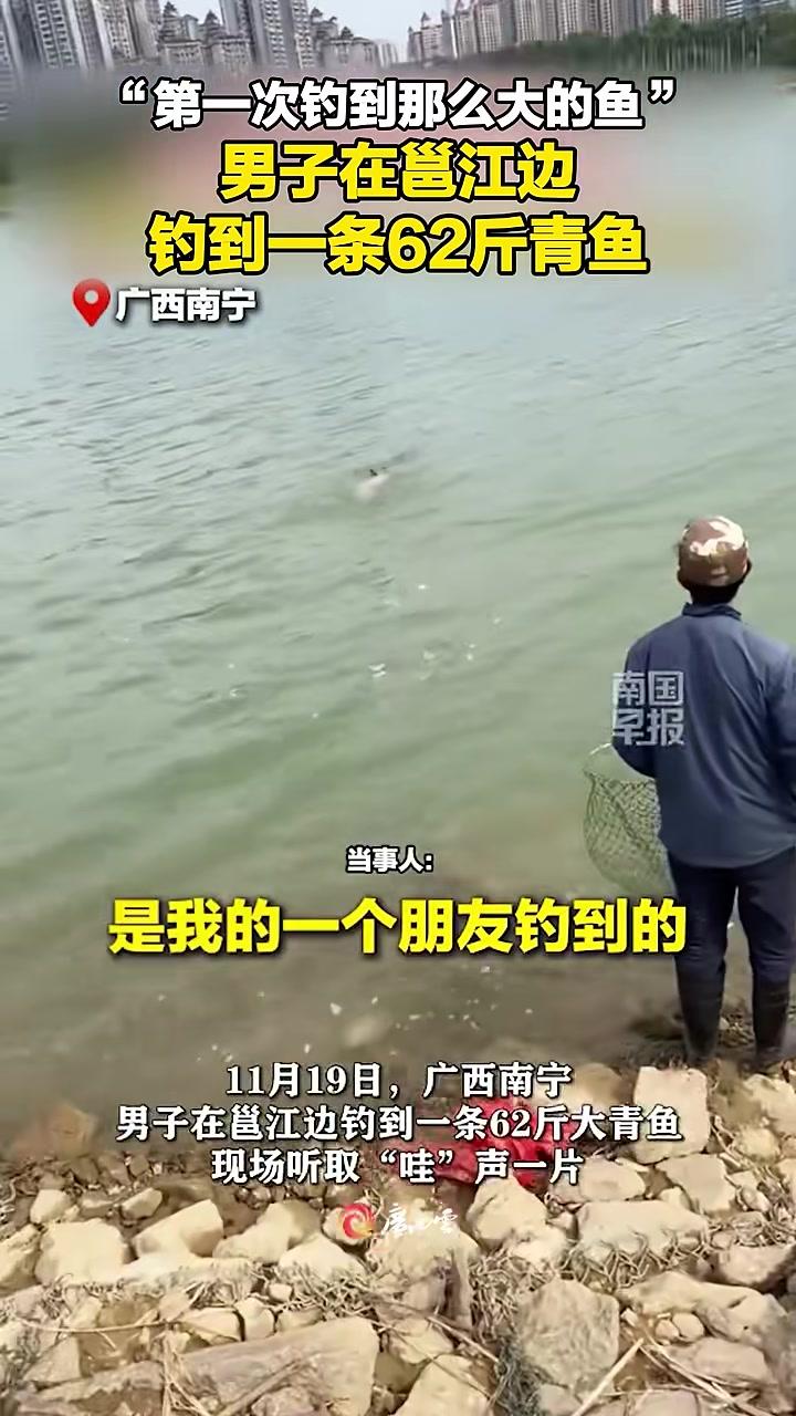 “非常激动，第一次钓到那么大的鱼”，男子在南宁邕江边钓到一条62斤青鱼，现场听到阵阵“哇”