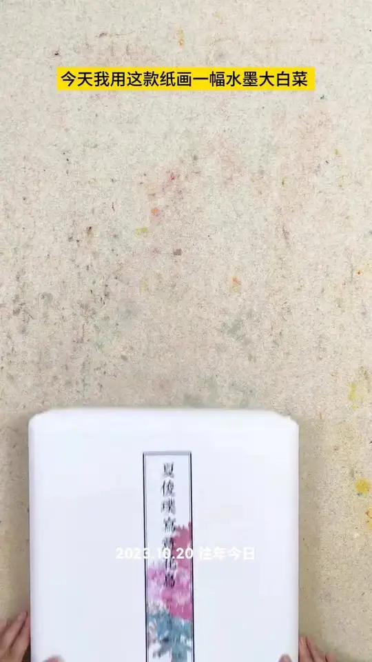 国画水墨大白菜的画法 画画 手绘 一起学画画 国画 每日一画