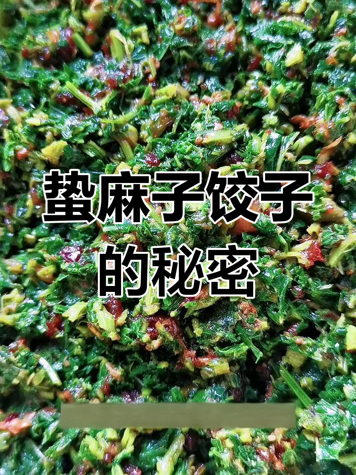 蛰麻子饺子,鲜美秘诀大公开!