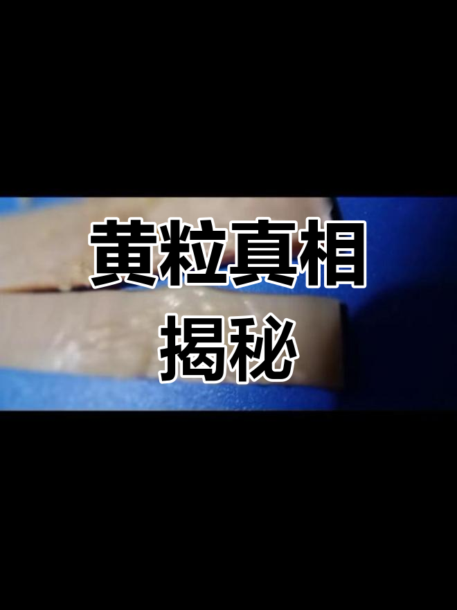 干鱿鱼泡发后,小黄粒是虫卵吗?