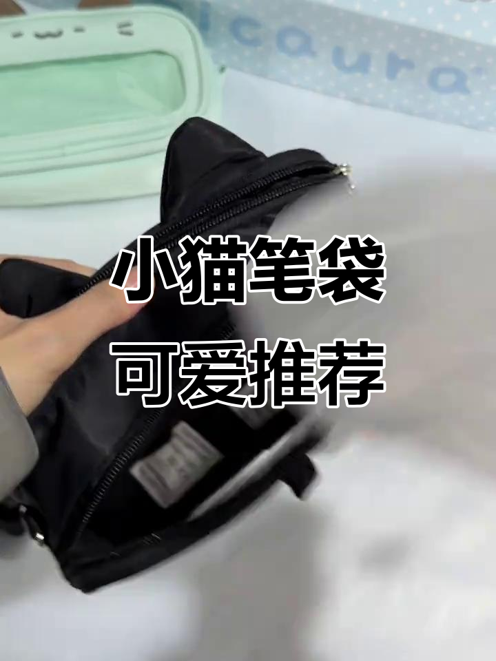 颜文字小猫笔袋,超萌小食量痛包推荐