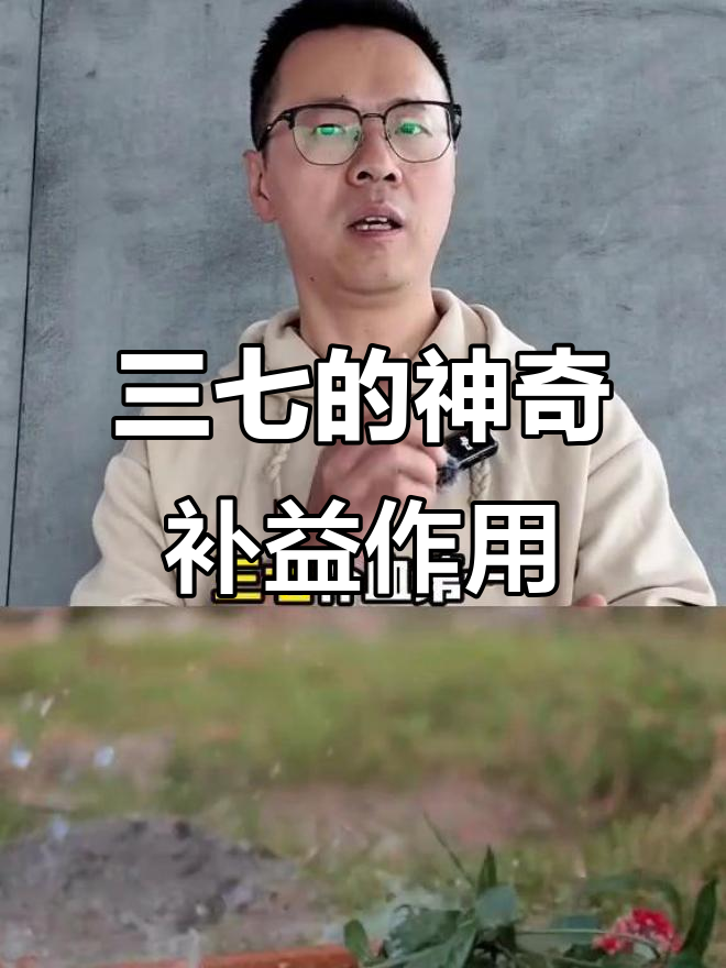 文山三七:虽貌不惊人,却补血效果超乎想象