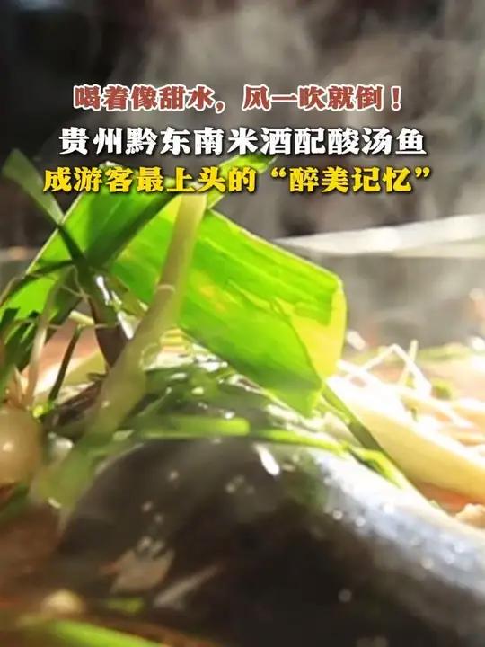 喝着像甜水，风一吹就倒！贵州黔东南米酒配酸汤鱼 成游客最上头的“醉美记忆”