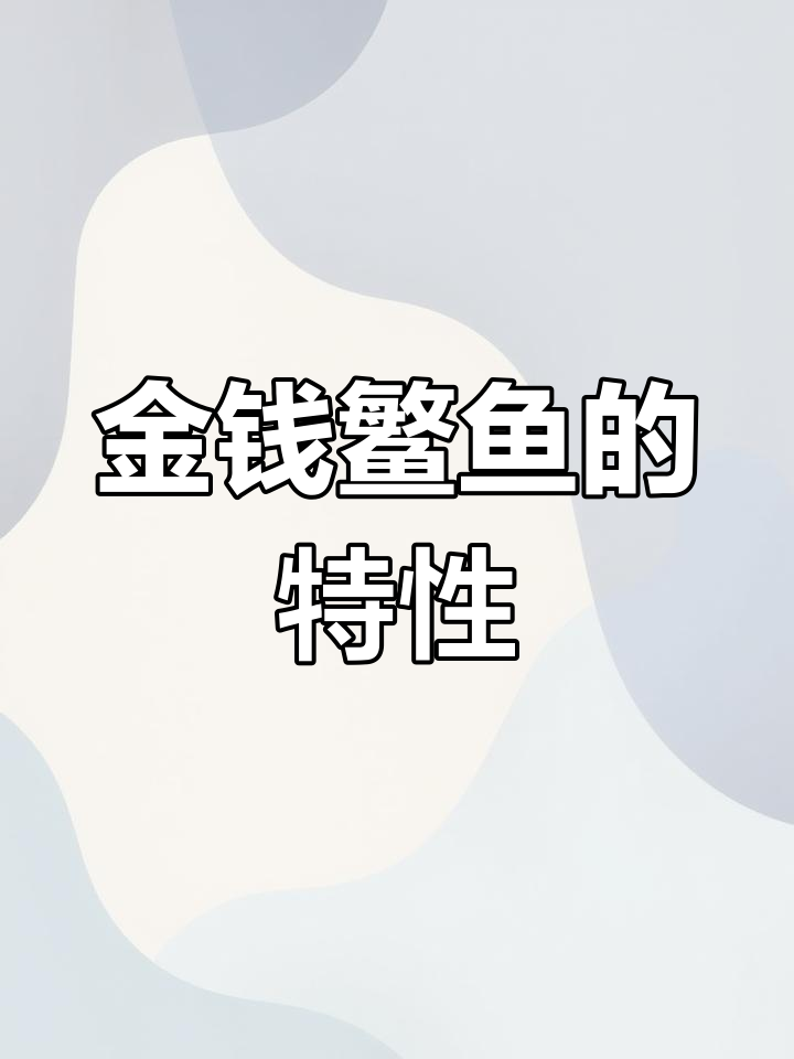 金钱鳘鱼:五大名胶之首的独特特征