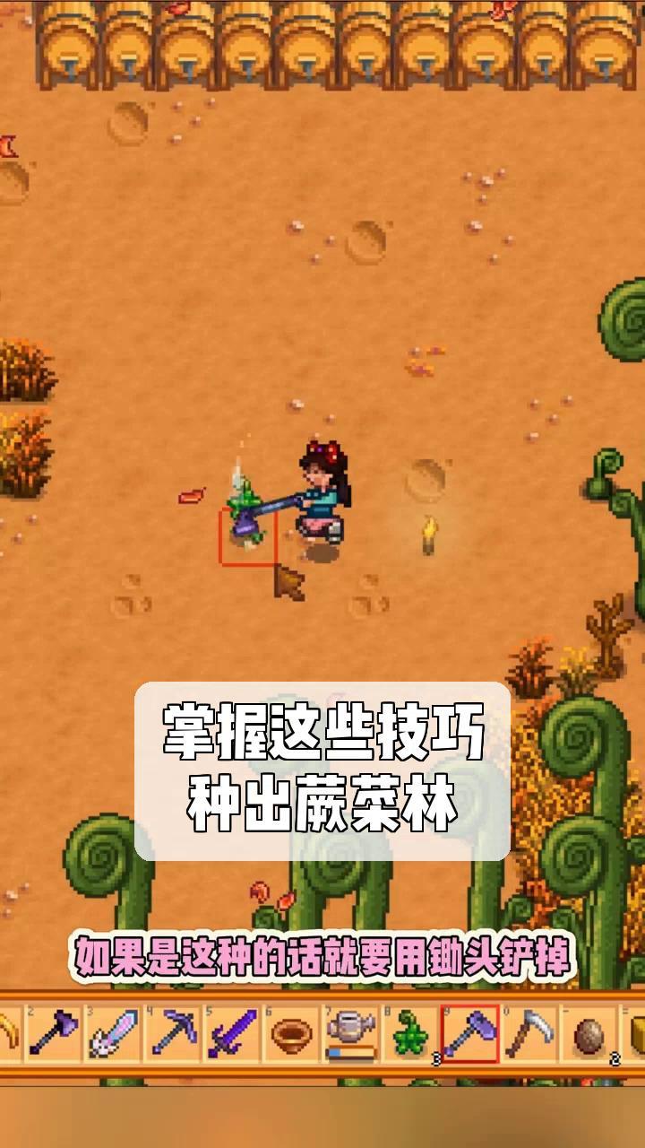 掌握这些技巧,种出蕨菜林