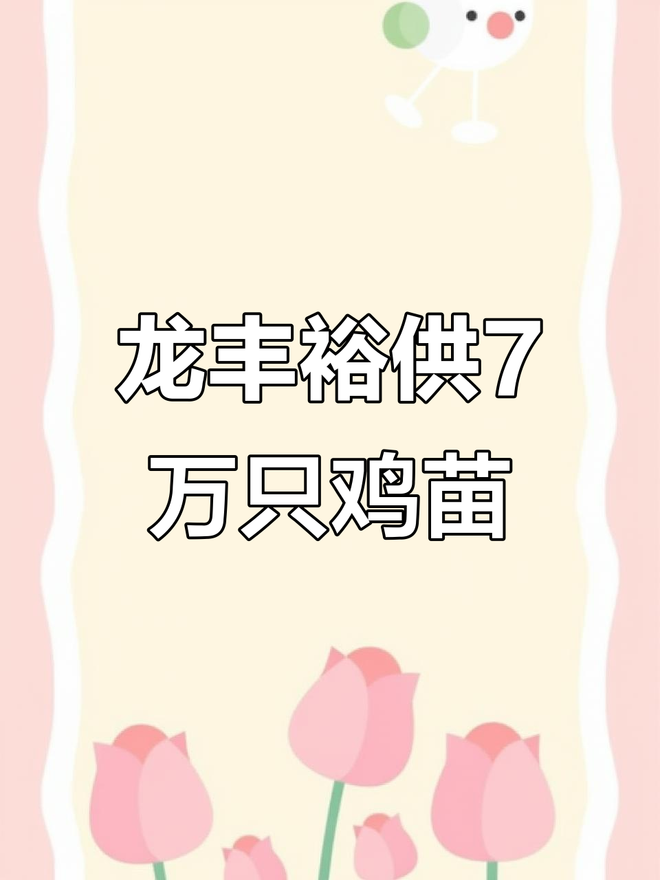 惠水县龙丰裕种养殖合作社供应7万只脱温三黄鸡苗