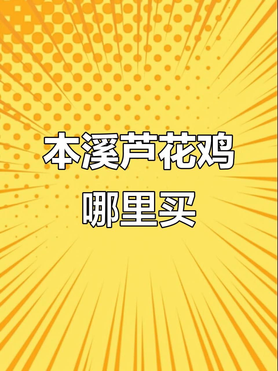 本溪市芦花鸡养殖基地,纯种芦花鸡价格与购买地点揭秘