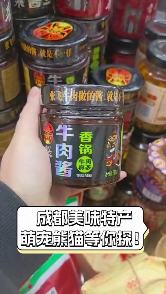 成都美味特产,萌宠熊猫等你探!