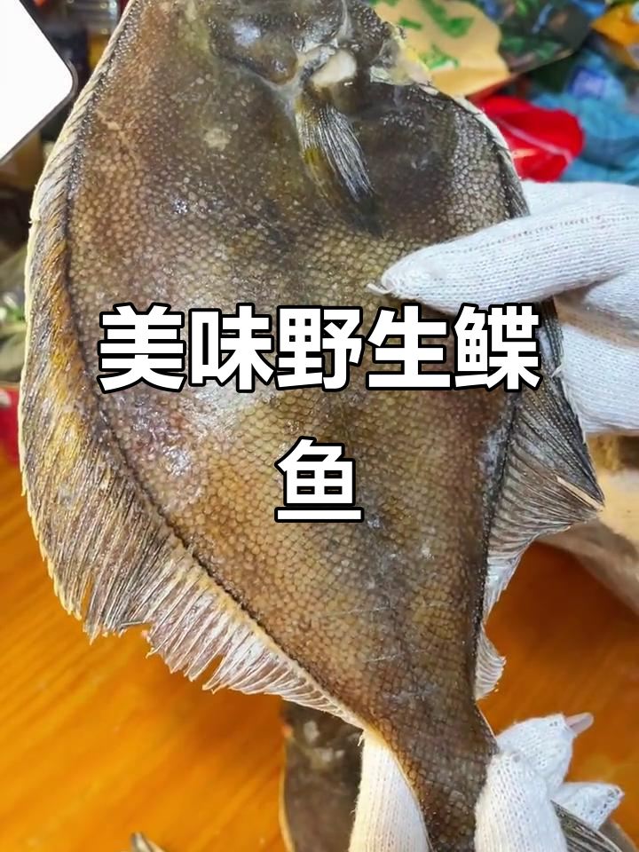 俄罗斯野生鲽鱼,肉质鲜美无刺,老人孩子都爱吃